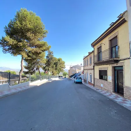 Olive Torreperogil