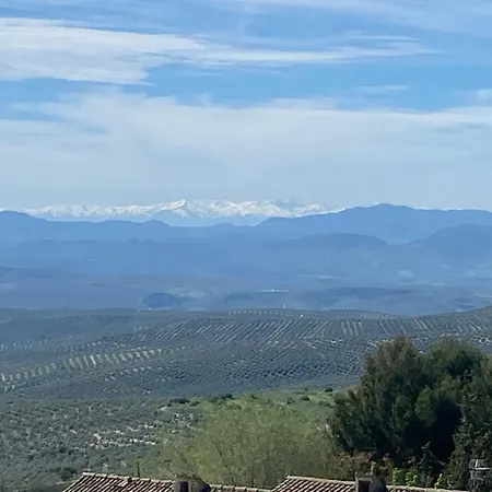Olive Ferienhaus Torreperogil