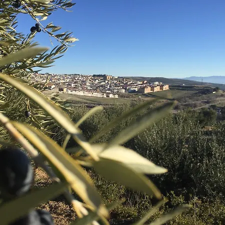 Olive Ferienhaus Torreperogil