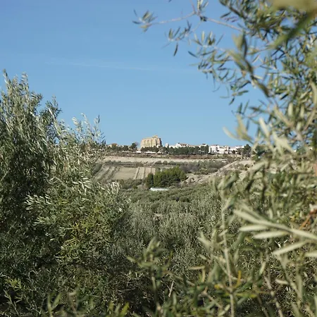 Olive Torreperogil